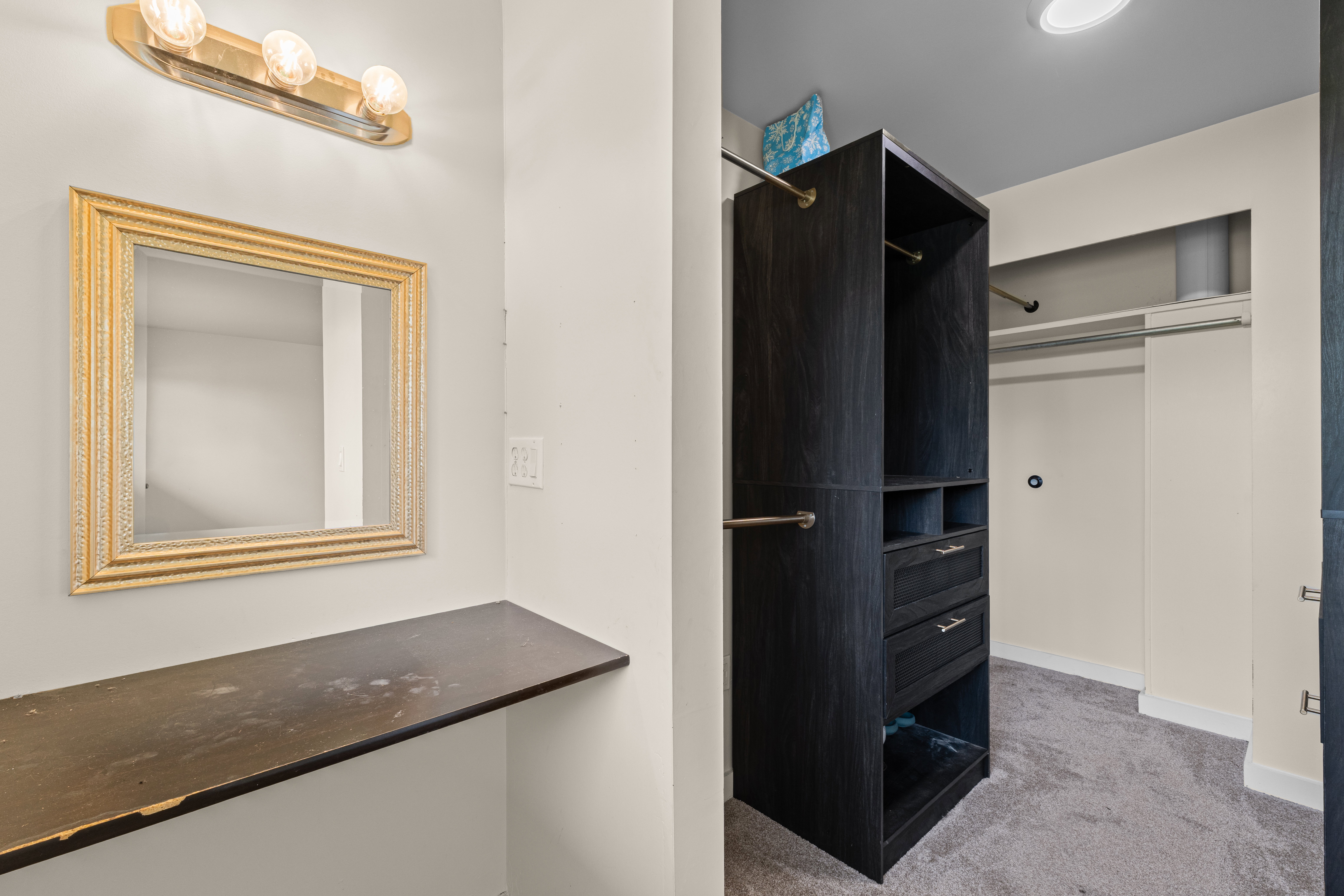 Walk in closet featuring carpet floors