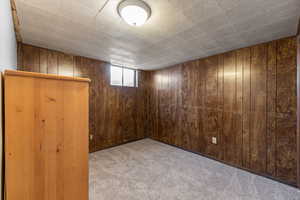 Basement featuring light carpet and wood walls