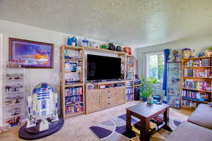 Carpeted living area with a textured ceiling