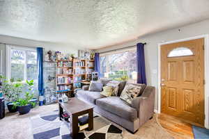 Living room featuring a textured ceiling and healthy amount of natural light
