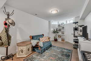 Basement Apartment Living Room