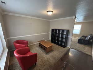Sitting room featuring hardwood / wood-style floors, a textured ceiling, carpet floors, and crown molding