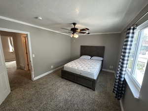 Carpeted bedroom with a textured ceiling, ceiling fan, and crown molding