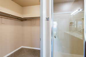 Walk in closet with light colored carpet