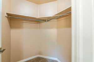 Walk in closet featuring carpet