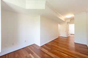 Spare room with crown molding and light wood-type flooring