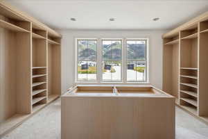 Primary Closet
