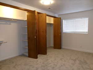 Large basement bedroom with light colored carpet and a closet