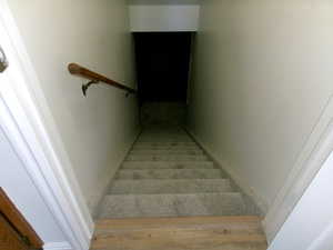 View of stairway to lower level