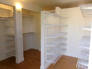 Master Bedroom Walk in closet featuring light wood-style floors