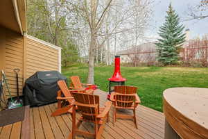 Wooden terrace with a grill and a lawn