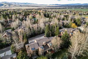 Aerial perspective of suburban area featuring a mountainous background