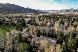 Aerial perspective of suburban area featuring a mountain backdrop