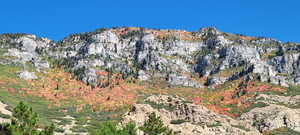 View of mountain background