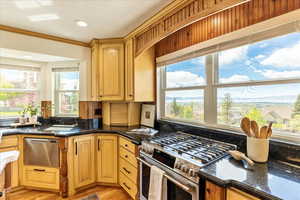 Kitchen featuring stainless steel appliances, dark stone counters, light wood-type flooring, recessed lighting, and crown molding