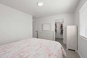 Bedroom with a walk in closet and carpet flooring