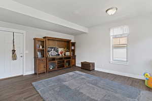 Living room with dark wood-style floors