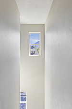 Detailed view of a textured ceiling