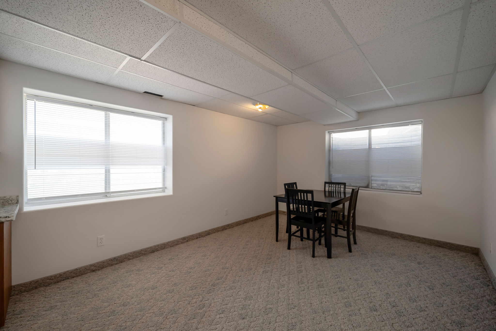Dining room with a drop ceiling, light carpet, and healthy amount of natural light
