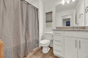 Full bathroom featuring vanity, a shower with curtain, and light wood-style flooring