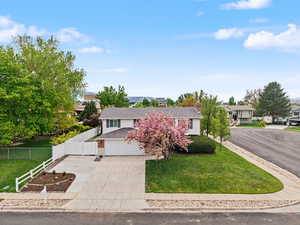 View of front facade with concrete driveway, a shingled roof, and a residential view