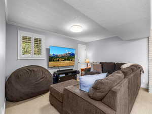 Living area featuring light carpet, crown molding, and a textured ceiling