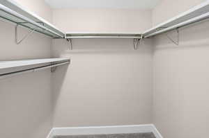 Walk in closet featuring carpet floors