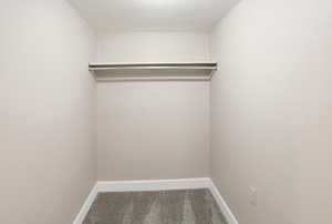 Walk in closet featuring carpet flooring