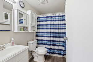 Full bathroom featuring vanity, curtained shower, and dark wood finished floors