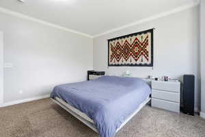 Bedroom with crown molding and carpet floors