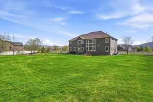 Rear view of property with a mountain view and a fenced backyard