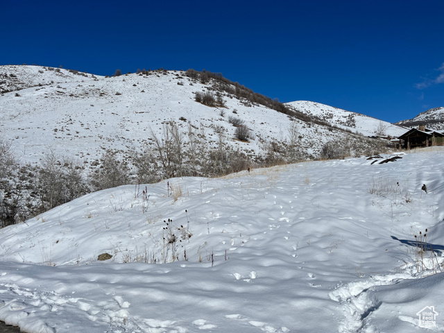 View of lot