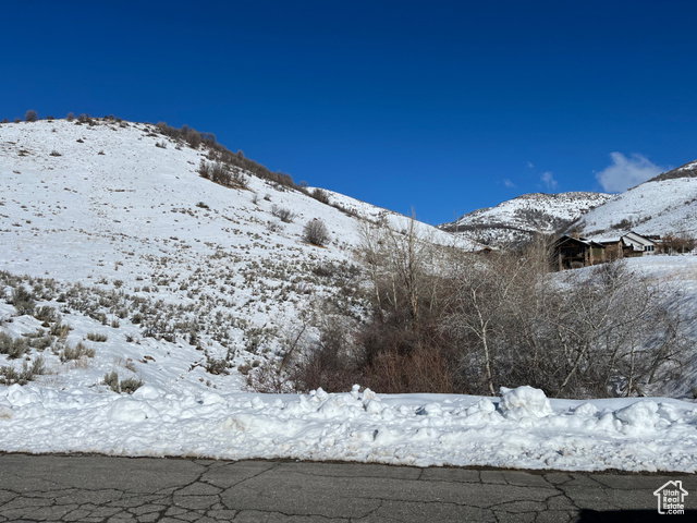 Lower view of lot