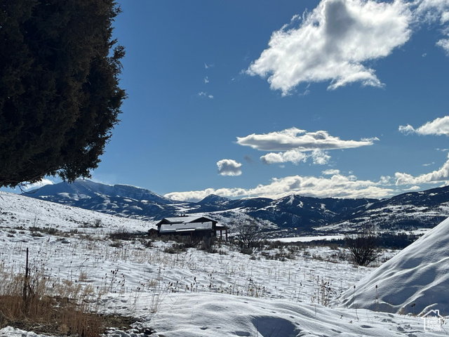 Valley Views
