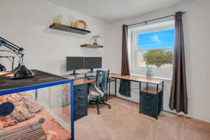 Office space with light colored carpet