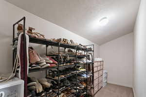 Walk in closet with lofted ceiling and light carpet
