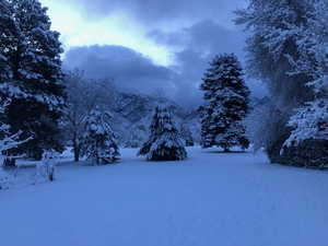 View of snowy yard