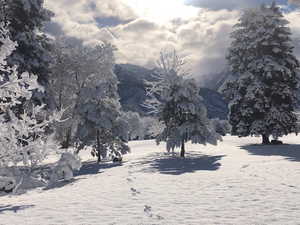 Mountain view