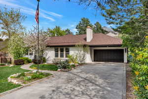 View of front facade with roof with shingles, a chimney, a garage, and driveway