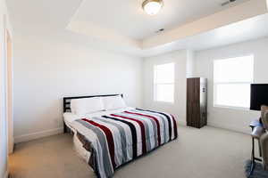 Bedroom with light colored carpet and a tray ceiling