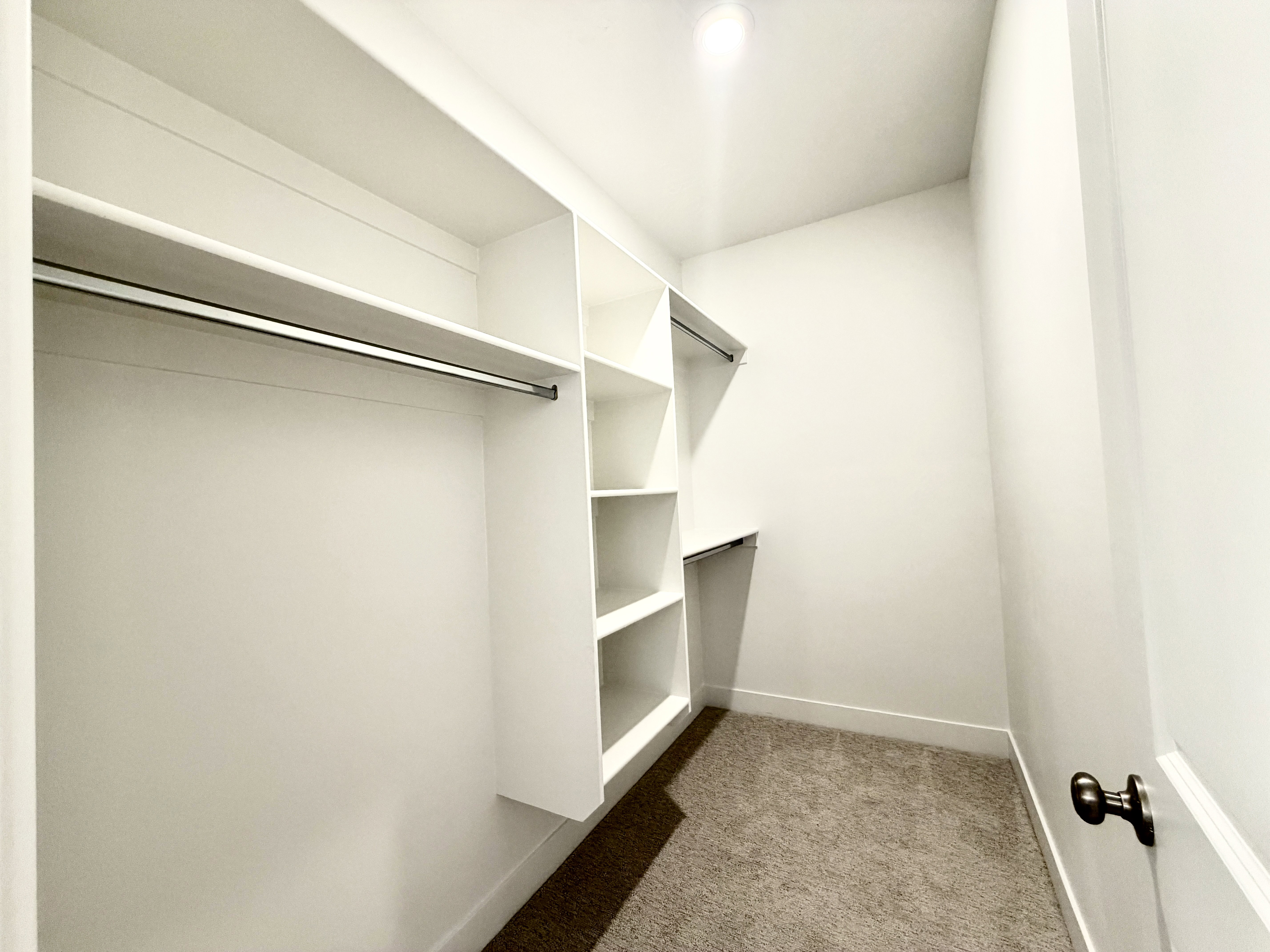 Walk-in closet with built-in shelving, multiple hanging rods, and carpet flooring
