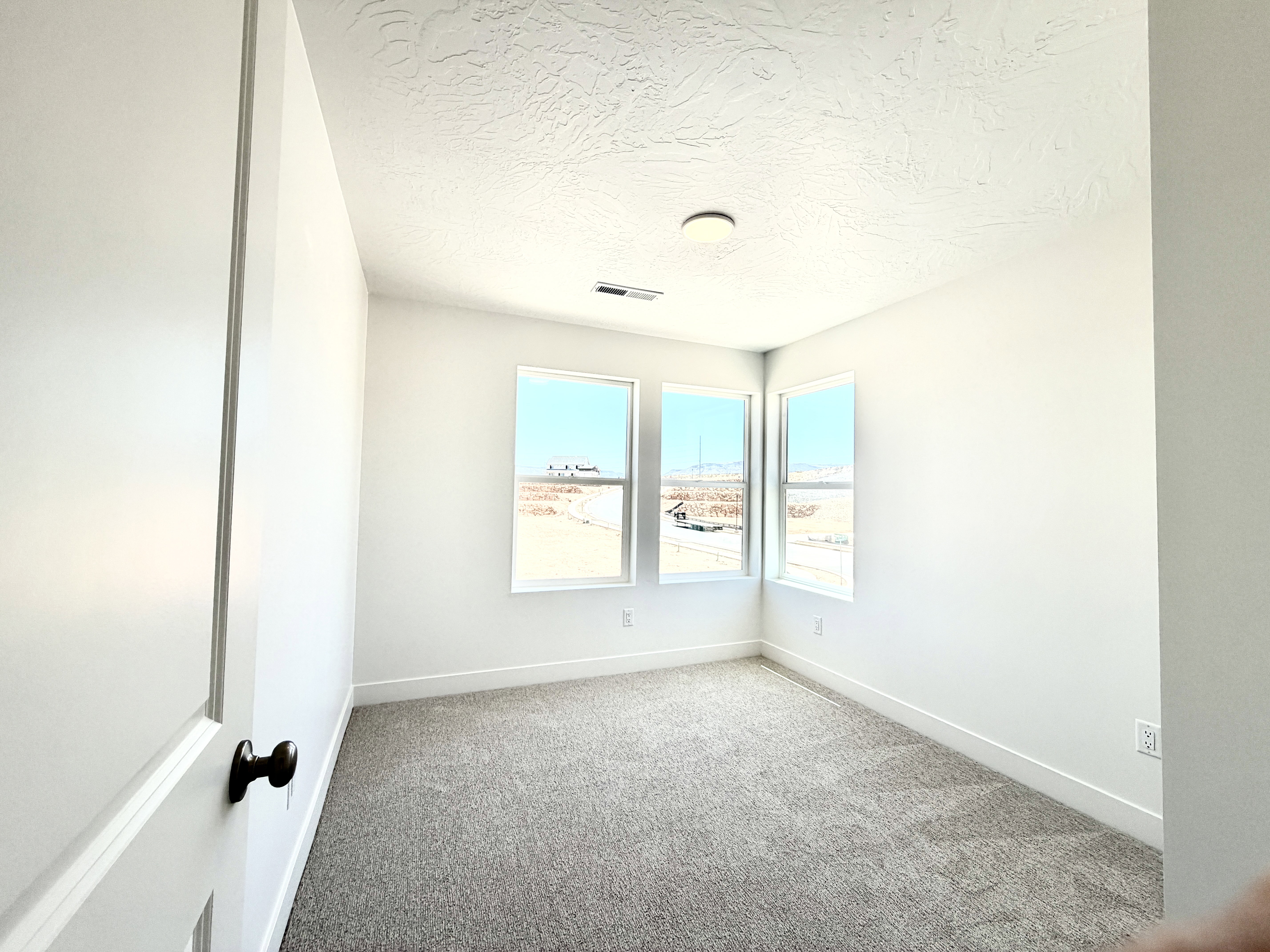 Neutral-toned room featuring three windows, a flush-mount ceiling light, and gray carpet flooring