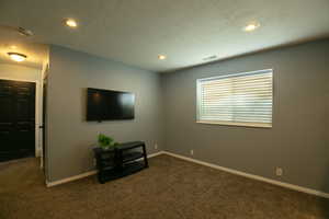 Family room in basement