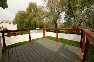 Trex dec with new railing