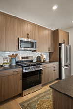 Kitchen featuring stainless steel appliances, light wood-style floors, modern cabinets, backsplash, and recessed lighting