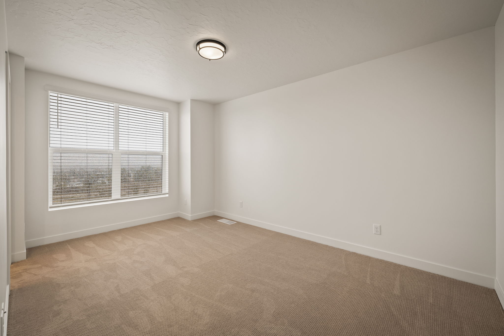 Room featuring neutral carpet, a large window with horizontal blinds, white baseboards, and a flush-mount ceiling light fixture