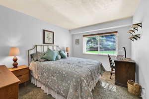 Large Bedroom with carpet floors