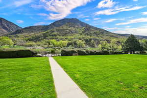 Mountain view