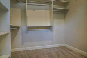 Walk in closet featuring carpet floors