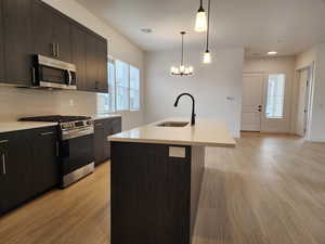 Kitchen featuring stainless steel appliances, a center island with sink, light wood-style floors, dark wood finish cabinets, and decorative backsplash